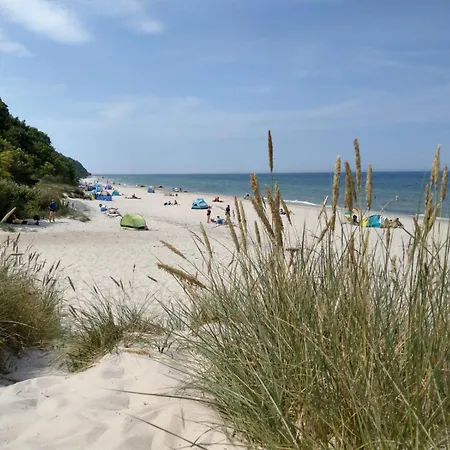 Reethaus Deichkrone Feriehus Breege