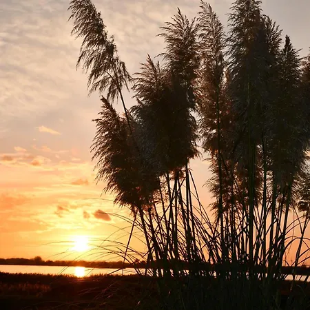 Feriehus Reethaus Deichkrone