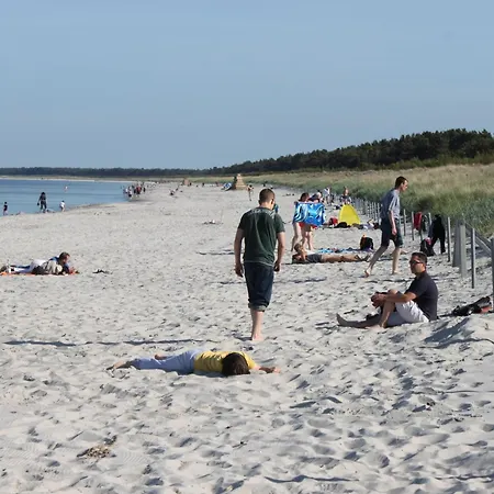 Reethaus Deichkrone *