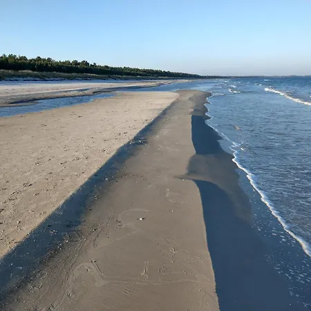 Reethaus Deichkrone *