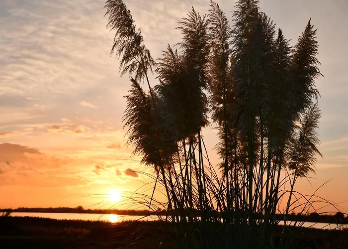 Semesterbostad Reethaus Deichkrone